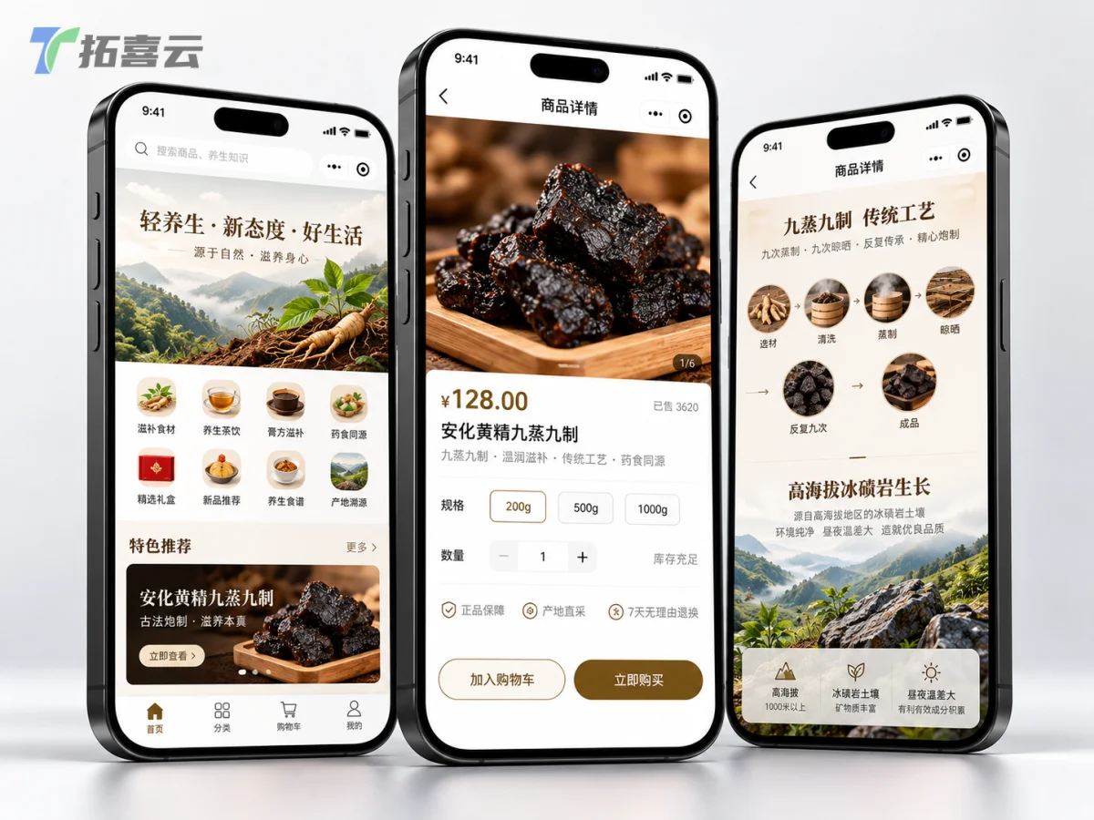 朴然派养生小程序首页与商品详情页，直观传达品牌理念与产品价值。